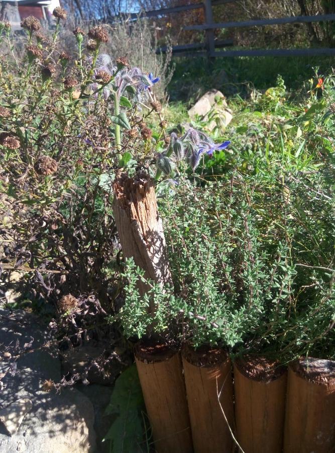 Agroturystyka U Maciejowej Villa Lanckorona Kültér fotó