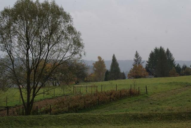 Agroturystyka U Maciejowej Villa Lanckorona Kültér fotó